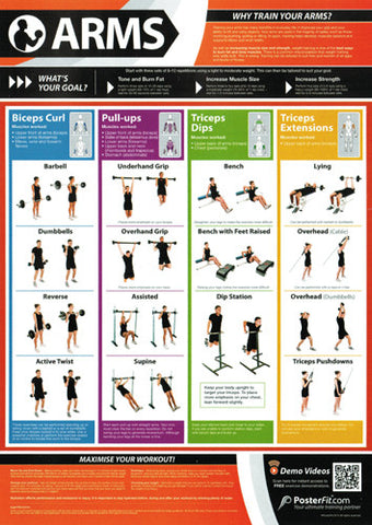 Bodybuilding Arm Muscles Poster Biceps Weight Training Chart