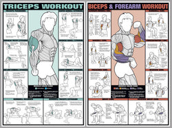 Arm Workout Instructional 2-Poster Professional Fitness Wall Chart Combo - Fitnus Corp.