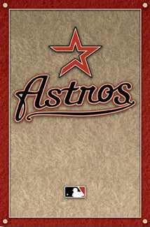 Houston Astros Official Team Logo Poster - Costacos 2008