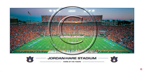 Auburn Football Saturday Night at Jordan-Hare Stadium Panoramic Poster Print - Rick Anderson 2007