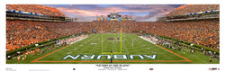 Auburn Tigers "Victory on the Plains" Panorama (2010) - USA Sports