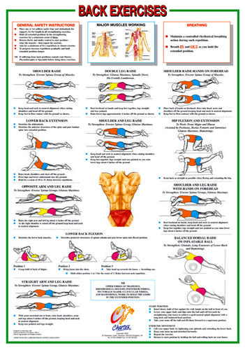Back Exercises Fitness Instructional Wall Chart Poster - Chartex Products