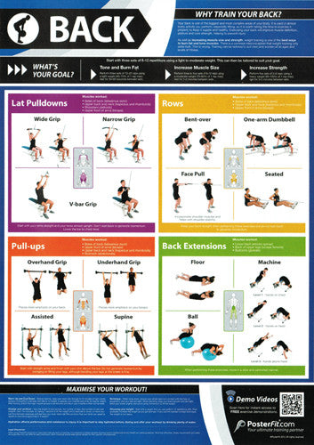 Back Workout Professional Fitness Training Wall Chart Poster (w/QR Code) - PosterFit