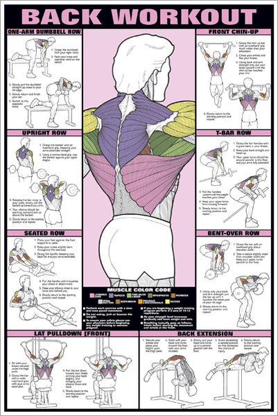 Back Workout Professional Fitness Instructional Wall Chart Poster - Fitnus Corp.