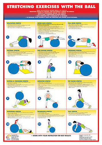 Stretching Exercises With the Ball Fitness Wall Chart Poster - Chartex ...