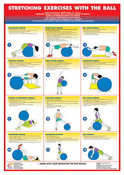 Pilates, Yoga, Ball Fitness Posters – Sports Poster Warehouse