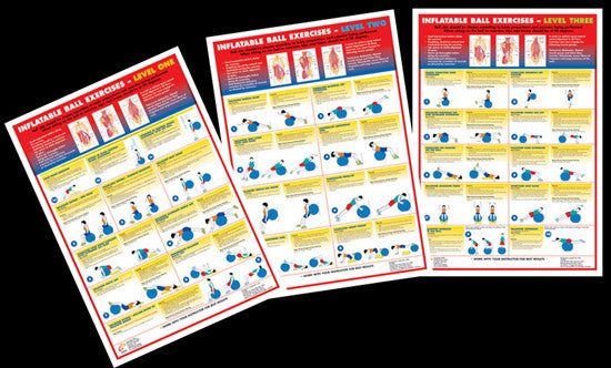Inflatable Ball Exercises Instructional Wall Chart Combo (3) - Chartex