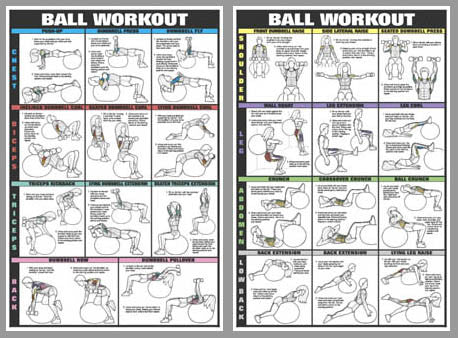 Swiss Ball Workout 2-Poster Professional Fitness Wall Chart Combo - Fitnus Posters Inc.