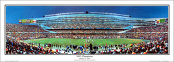 Chicago Bears "NFC Champions" (Soldier Field 1/21/2007) Panoramic Poster Print - Everlasting Images