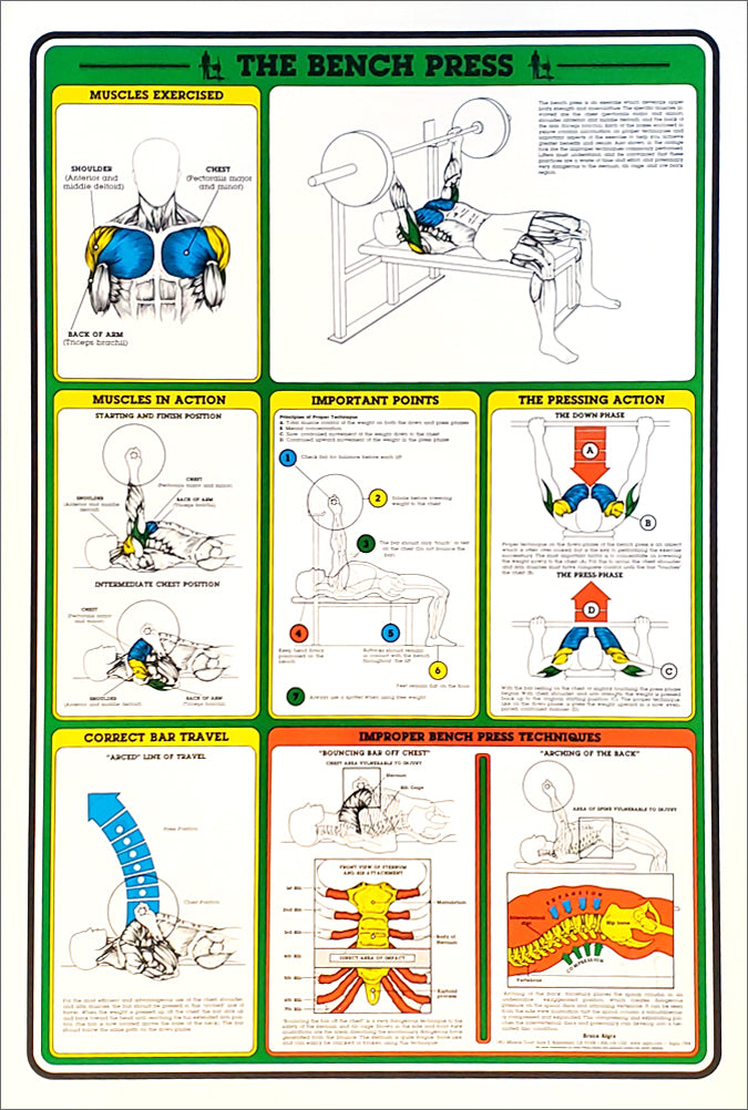 Weight Bench Workout Routine Chart.pdf Weight Bench Workout Chart Foldable Utility Bench (Adjustable Back Pad