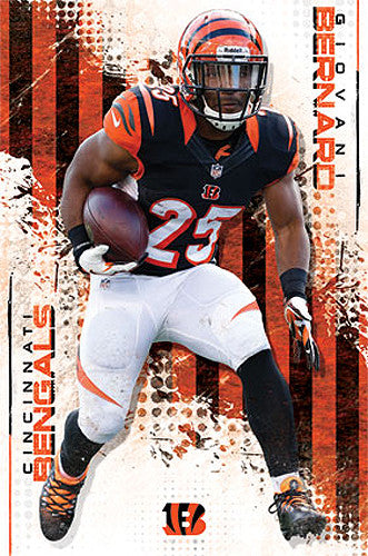 Products, cincinnati bengals