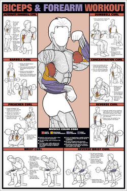 Strength Training Posters – Sports Poster Warehouse