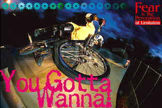 Freestyle BMX Cycling "You Gotta Wanna" Poster - Eurographics