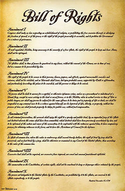 The Bill of Rights (First Ten Amendments to the United States Constitution) Poster - Trends International