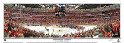 Chicago Blackhawks 2015 Stanley Cup Champions Panoramic Poster Print - Everlasting (IL-383)