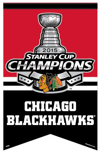 2010 Stanley Cup Finals - Wikipedia