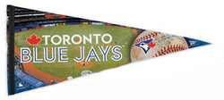 Shawn Green Toronto Blue Toronto Blue Jays MLB Action Poster - Costa –  Sports Poster Warehouse
