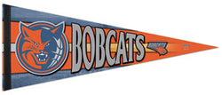 Charlotte Bobcats Official NBA Premium Felt Pennant - Wincraft Inc.