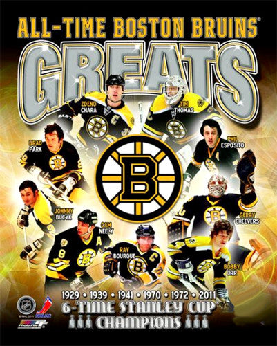 Vintage Boston Bruins Nhl National Hockey League Biglogo Print 