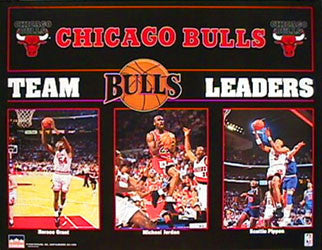 Chicago Bulls Team Leaders 1993 16x20 Poster (Michael Jordan, Pippen, Grant) - Starline