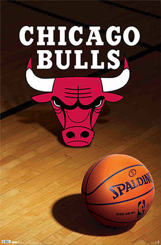 Chicago Bulls Official NBA Basketball Team Logo Poster - Costacos Sports