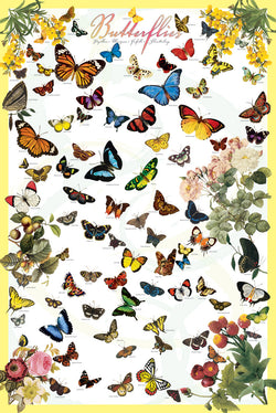 The Butterflies Poster (70 Species) Lepidopterology Wall Chart Poster - Eurographics Inc.