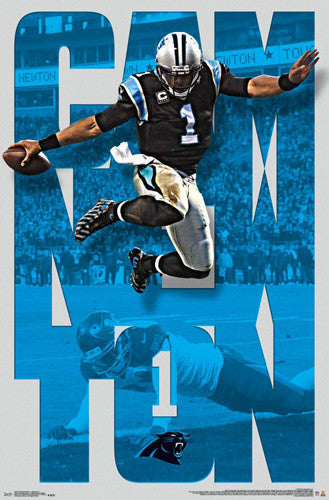 Cam Newton "Anything for a Touchdown" Carolina Panthers NFL Poster - Trends 2016