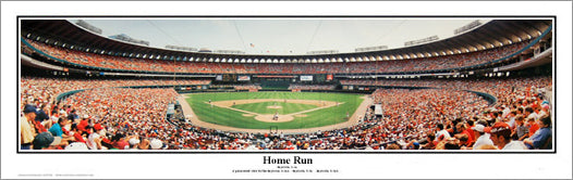 MLB St. Louis Cardinals - Busch Stadium 22 Wall Poster, 14.725 x 22.375