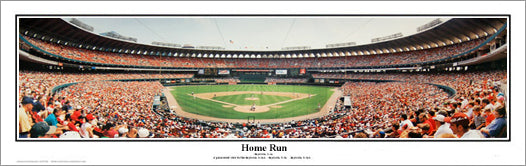 St. Louis Cardinals Panoramic Poster - 2011 World Series