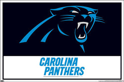 Carolina Panthers Official NFL Football Team Logo and Wordmark Poster - Costacos Sports