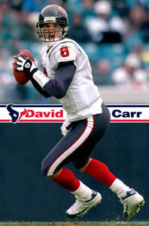 David Carr "Super Action" Houston Texans Official NFL Football Wall POSTER - Costacos 2005