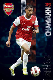Marouane Chamakh "Arsenal Action" - GB Eye 2010