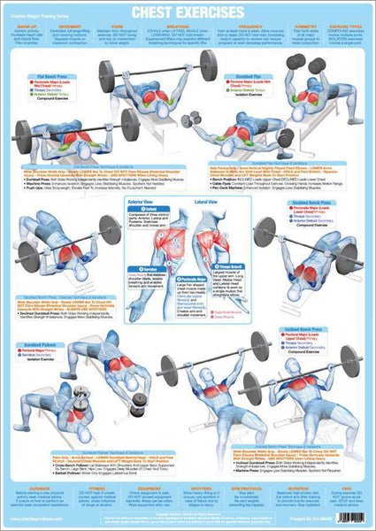 Chest Exercises Weight Training Fitness Instructional Wall Chart Poster - Chartex Products