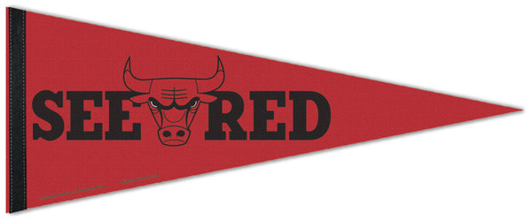 Chicago Bulls "See Red" NBA Basketball Premium Felt Pennant - Wincraft Inc.