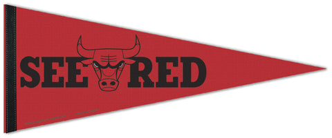 Chicago Bulls "See Red" NBA Basketball Premium Felt Pennant - Wincraft Inc.