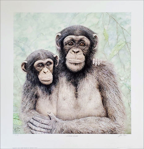 Chimpanzees "A Look Inside" Wildlife Art by Jan Bain L/E Lithograph Poster Print - Lumbers Publishing 1996