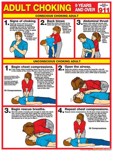 Adult Choking First Aid Wall Chart Poster (2013 ARC Guidelines)- Fitnus Corp.