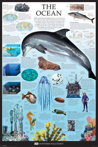 The Ocean Educational Poster - DK Eyewitness Wallcharts/Pyramid