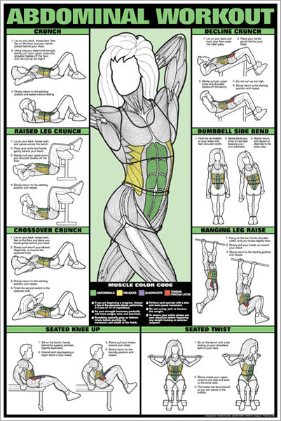 Abdominal Core Workout Professional Fitness Wall Chart Poster (Co-Ed Edition) - Fitnus Corp.