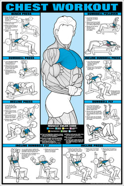 Chest Workout Professional Fitness Gym Instructional Wall Chart Poster (Co-Ed Edition) - Fitnus Corp.