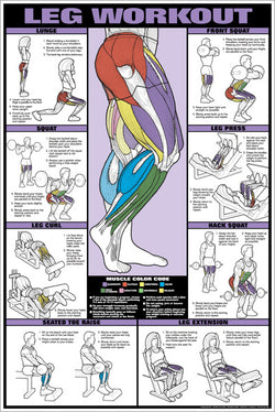 Leg Workout Professional Fitness Gym Instructional Wall Chart Poster (Co-Ed) - Fitnus Corp.