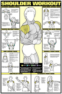 CO-ED Shoulder Workout Professional Fitness Gym Wall Chart Poster - Fitnus Posters