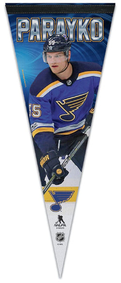 St. Louis Blues Hockey Poster, Blues Hockey Print, STL Blues in front –  McQDesign
