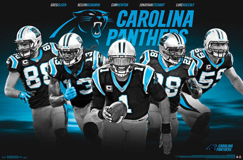 : Carolina City Panthers Football Poster American