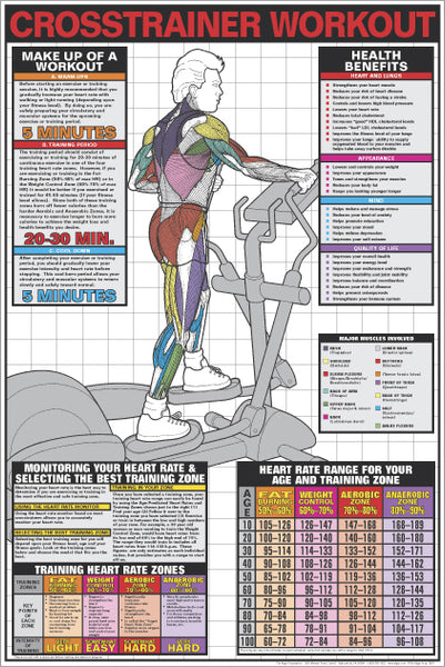 Men's Elliptical Cross Trainer Workout Cardio Instructional Wall Chart Poster - Fitnus Corp.