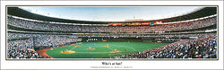 Cincinnati Reds Riverfront Stadium "Who's at bat?" (1998) Panoramic Poster Print - Everlasting
