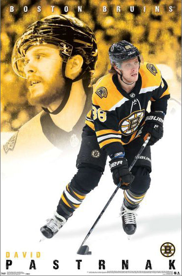 Check out David Pastrnak's custom skates and stick for Winter