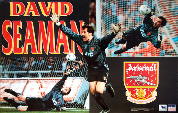 David Seaman "Highbury Glory" Aresnal FC Goalkeeper Poster - Starline 1995