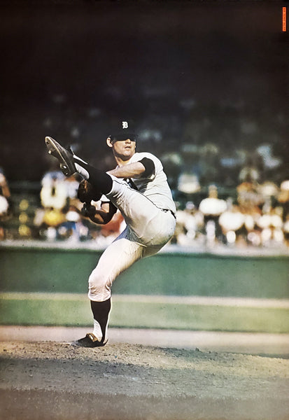 Denny McLain Detroit Tigers MLB Baseball Action Poster - Major League Posters 1968