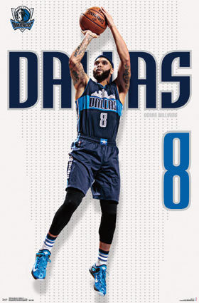 Deron Williams "Texas Shooter" Dallas Mavericks NBA Action Wall Poster - Trends 2016